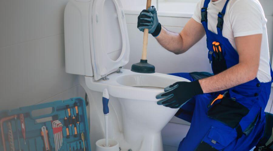 Local annual plumbing maintenance in Alamo, GA
